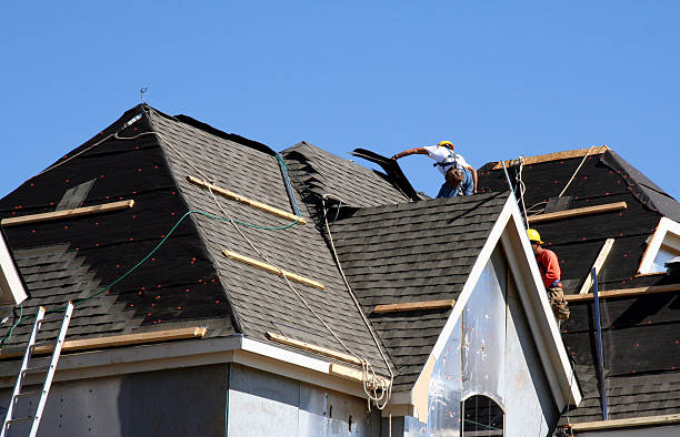 Best Gutter Installation and Roofing  in Pleasant View, TN